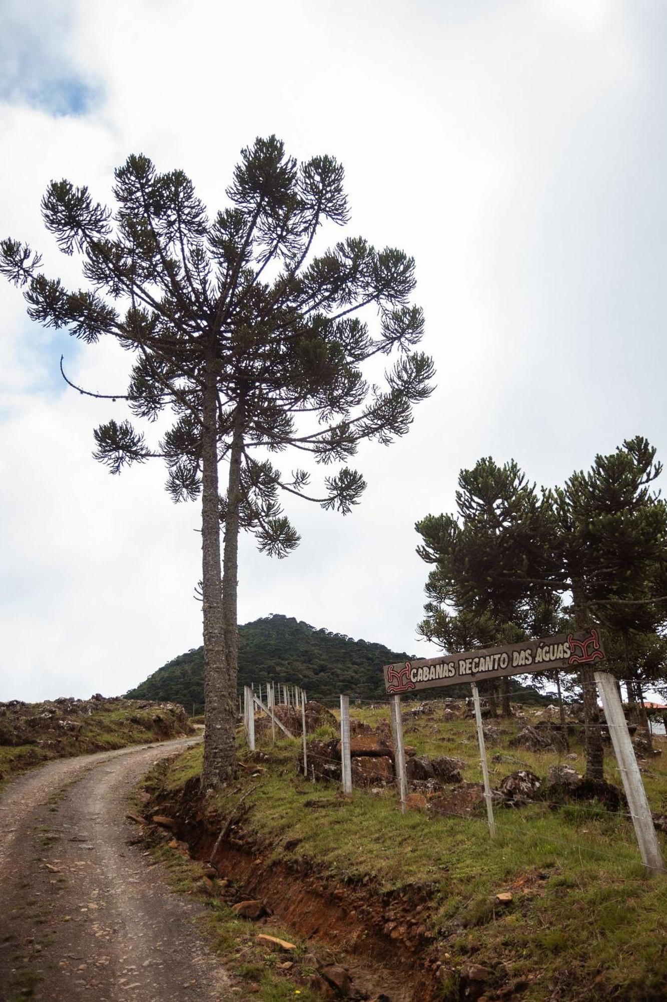 Recanto Das Aguas - Urubici - Sc Exterior photo